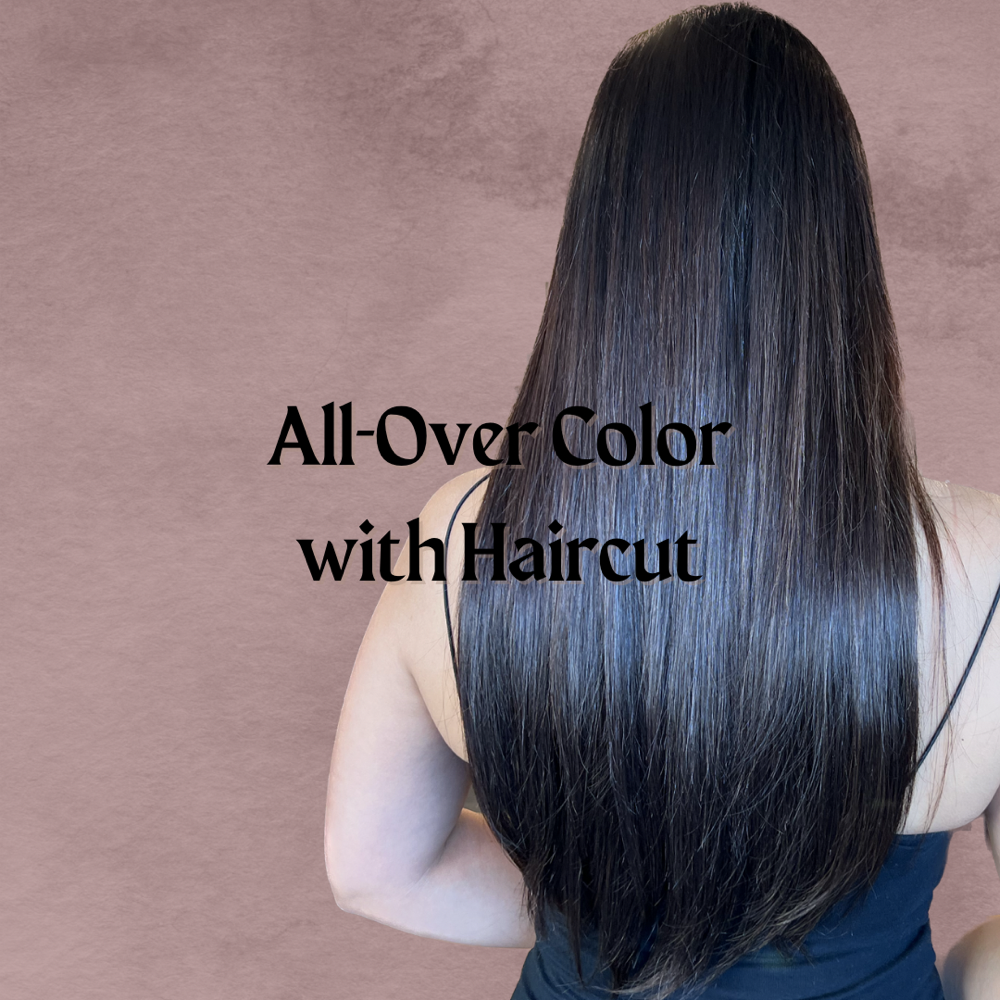All Over Color with Haircut