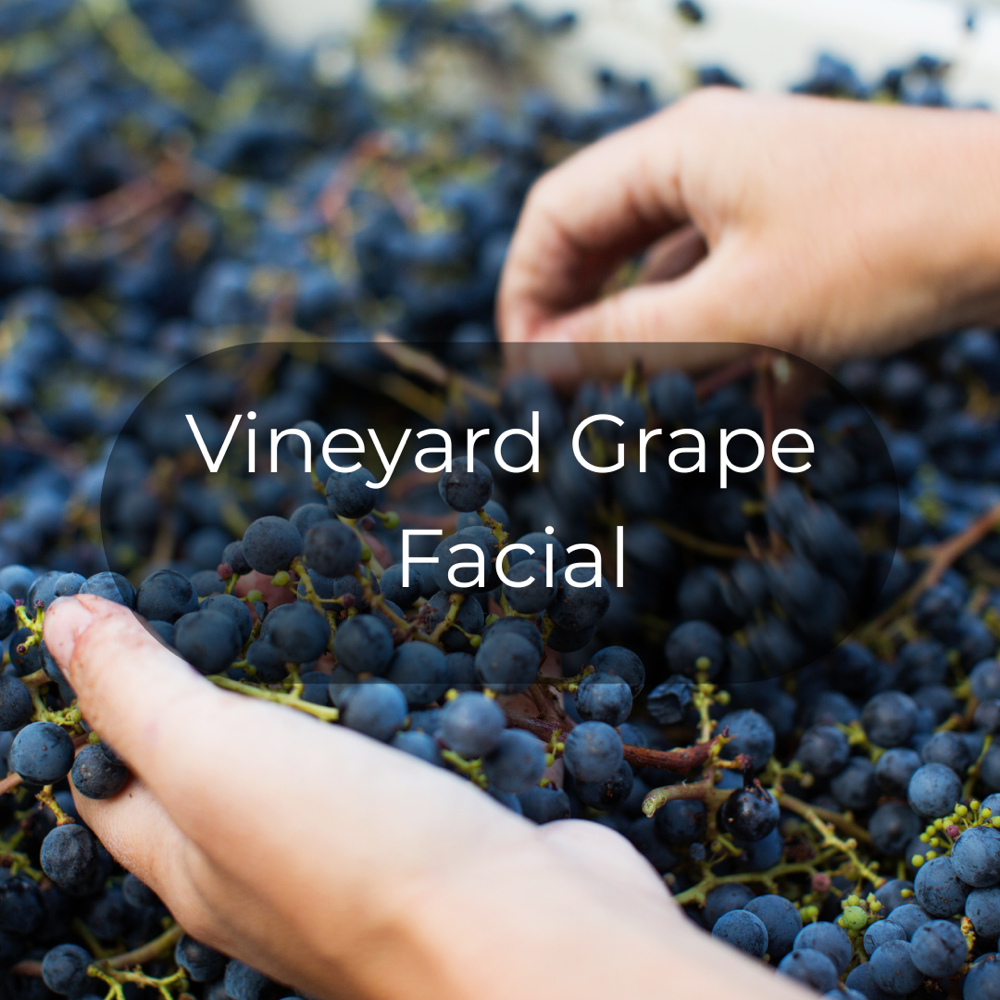 Vineyard Grape Facial