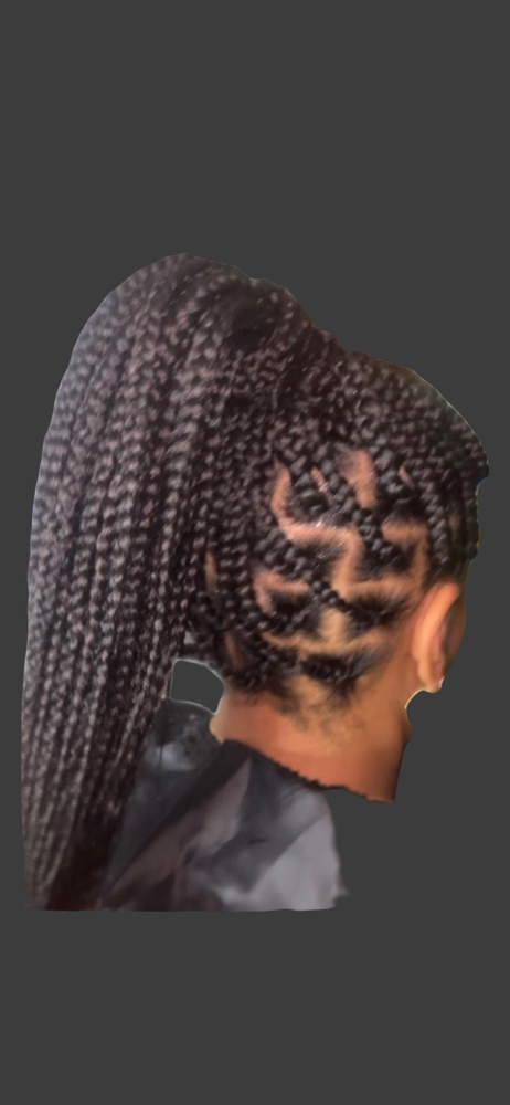 Knotless Large  Box Braids