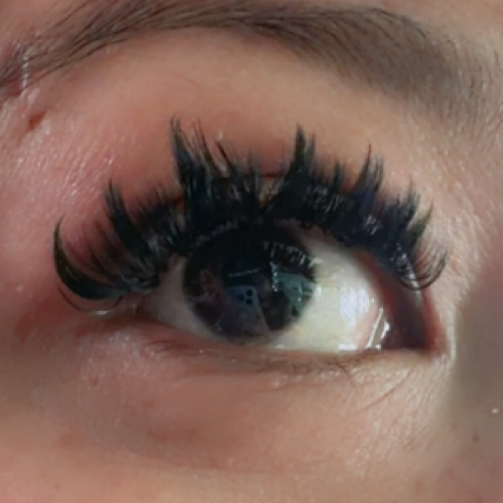 Spikes/Manga/Medusa/Anime at Sleeping Lady Lash in Anchorage, AK