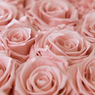 🌸 Mother’s Day Special 🌸