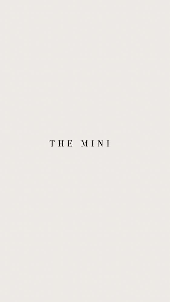 The Mini