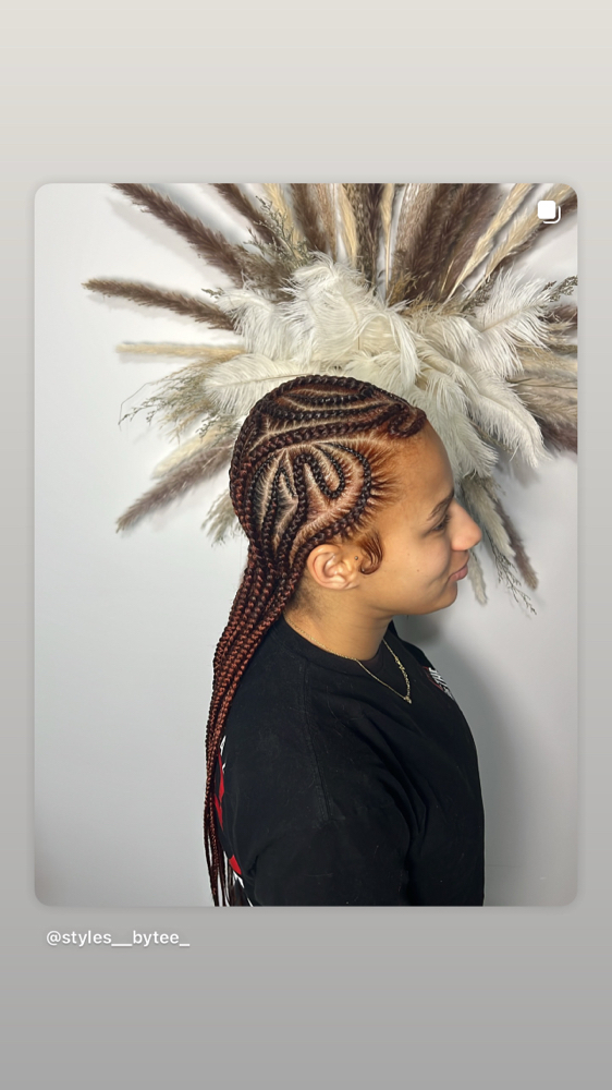 12 Freestyle Braids