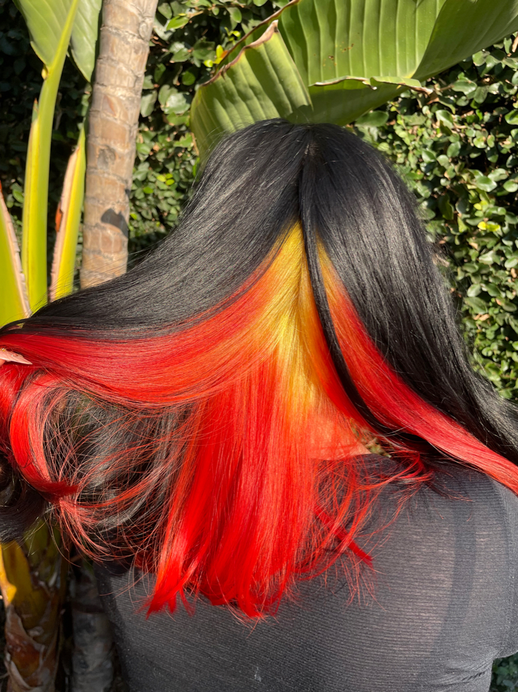 Vivid Color Service
