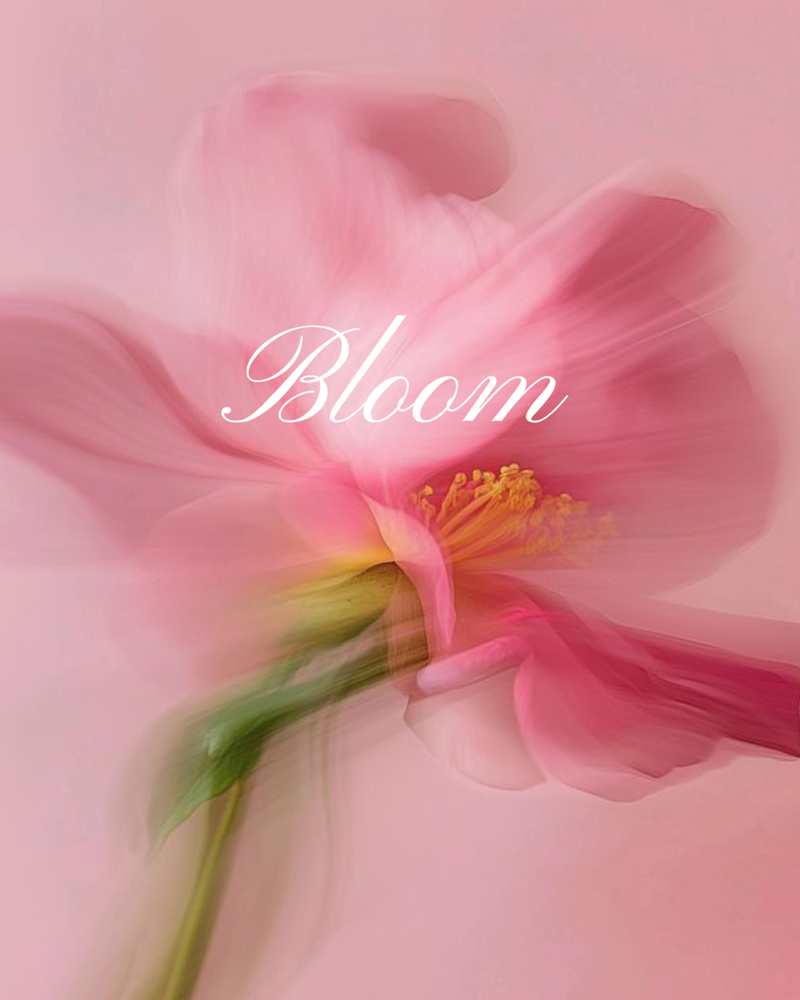 Bloom - Advanced Corrective Care