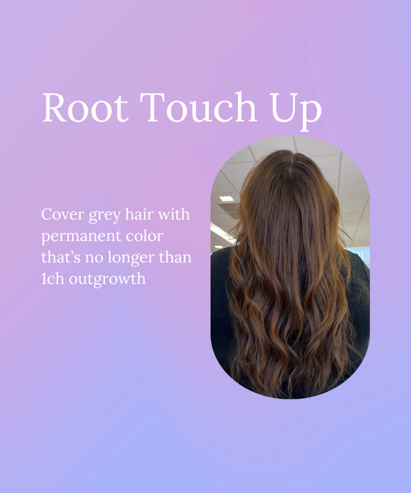 Root Touch Up