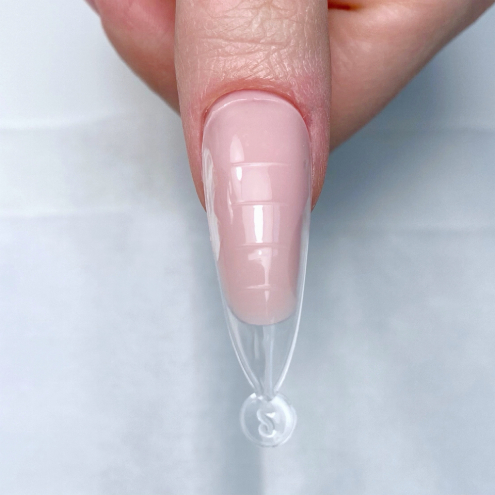 Dual Forms Extensions Model