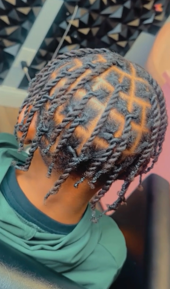 2 Strand twist