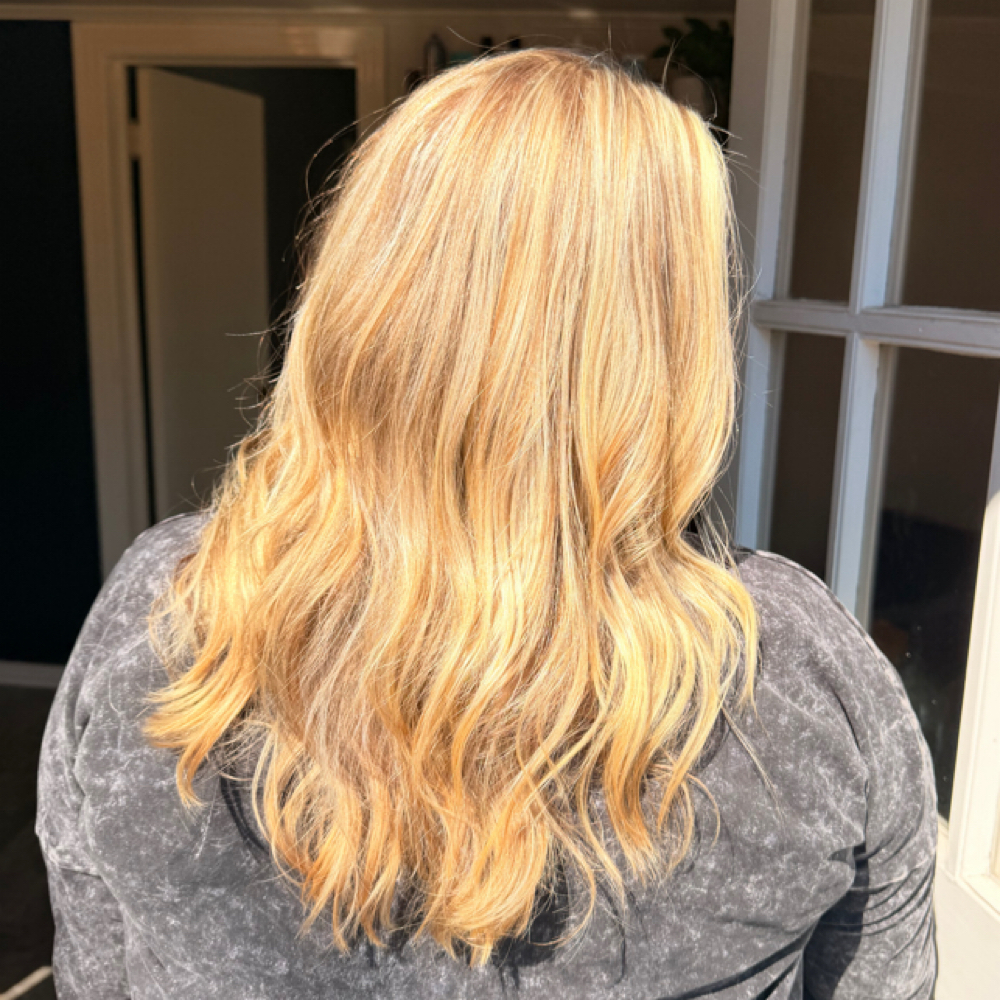 Full Highlight at Hair by Webb in Tupelo, MS