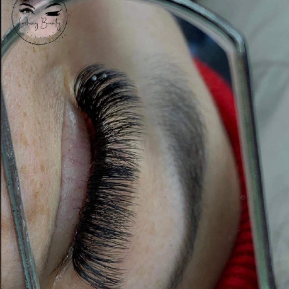 HYBRID REFILL at The Lash & Beauty Lounge LLC in Pearland, TX