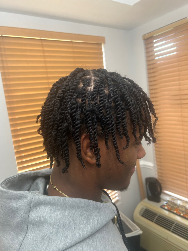 Male 2 strand twist