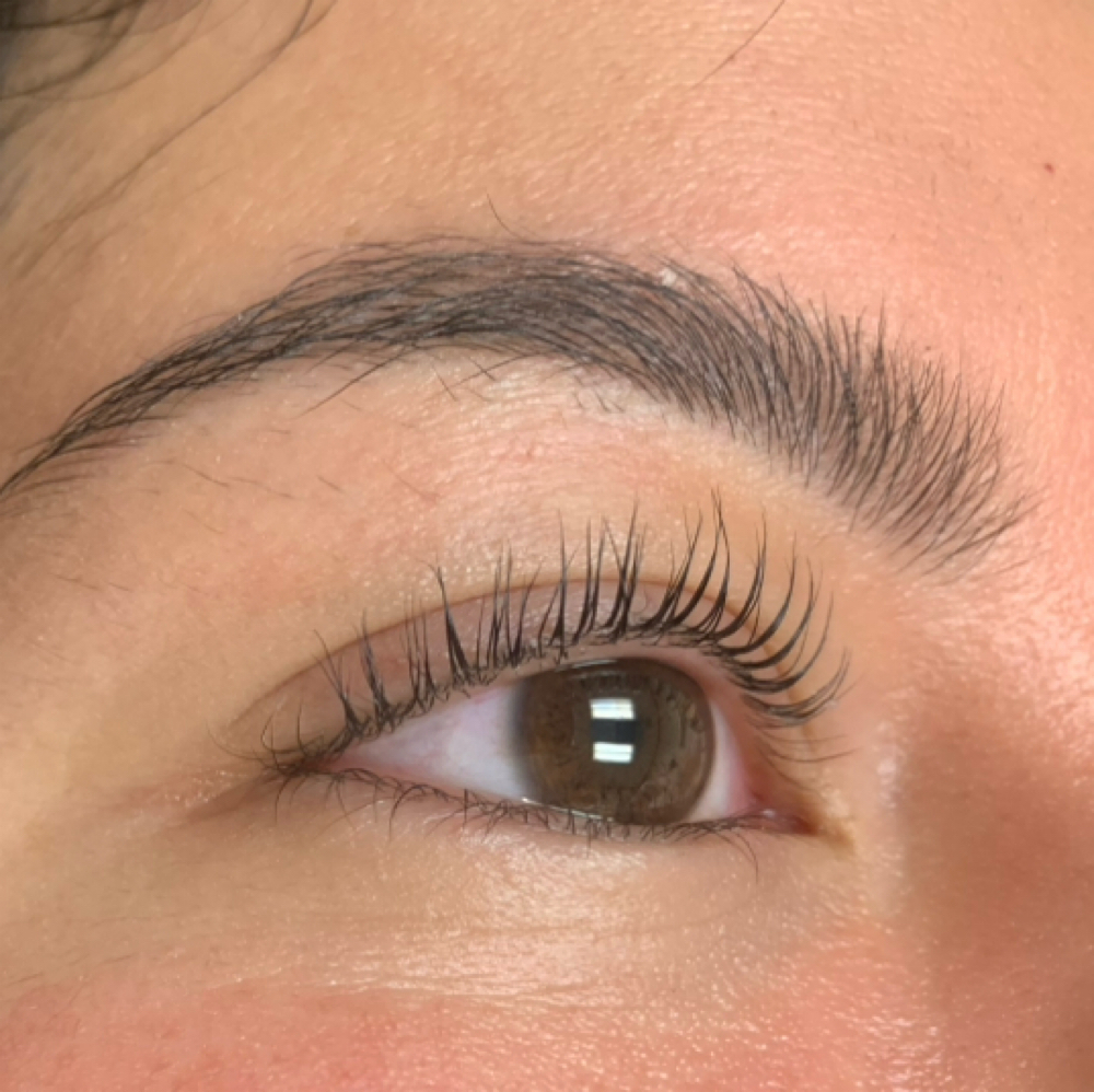 Lash Lift Combo at MySkin Aesthetics in Laredo, TX