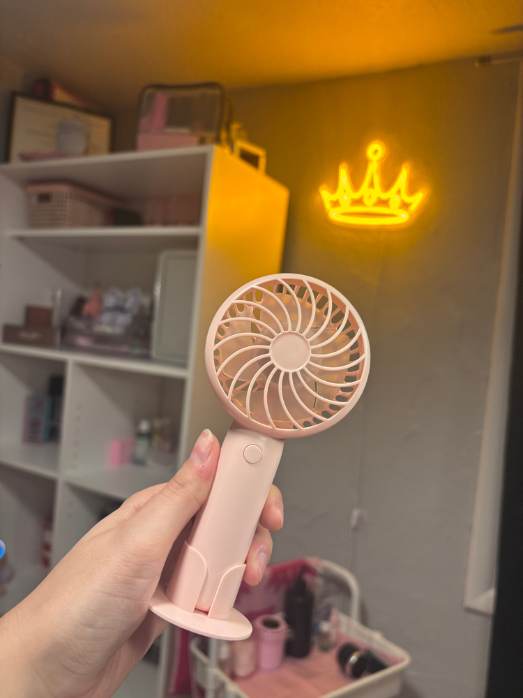 Lash Fan at Princess Treatment Esthetics in Denver, CO