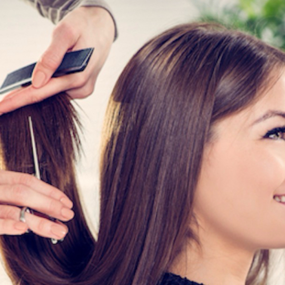 Haircut w/ Shampoo & Blowout at My Hair by Morgan in Clearwater, FL