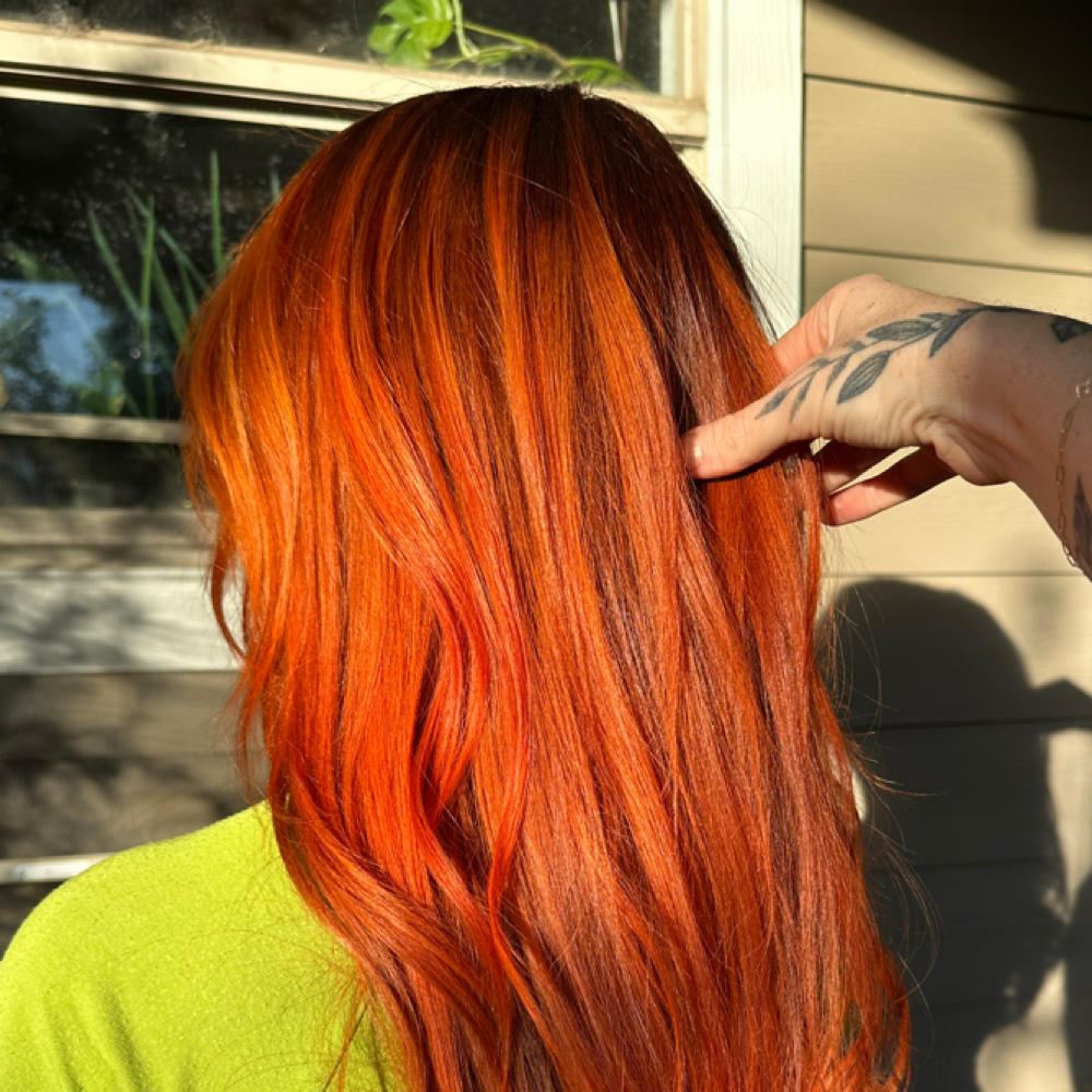 Vivid Toner at EVERROOT Hair Studio in Austin, TX