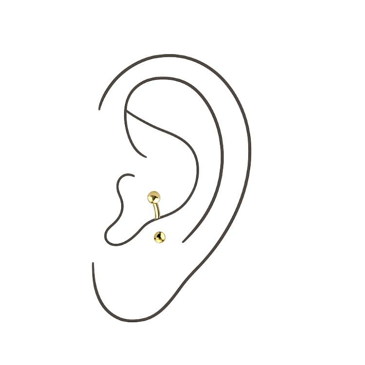 Anti-tragus (Jewelry Included)