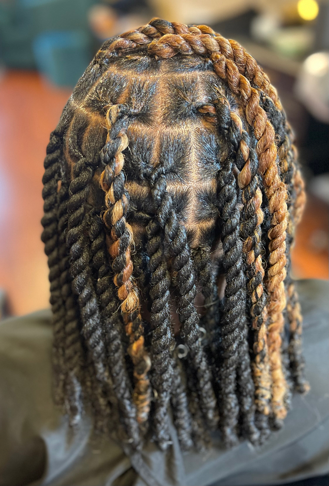 Invisible Locs  Two- Strand Twist