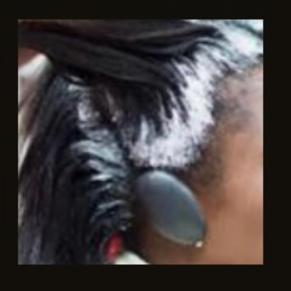 Spot Relaxer Touch Up at Epic Looks Hair And Wigs Collection in Coral Springs, FL