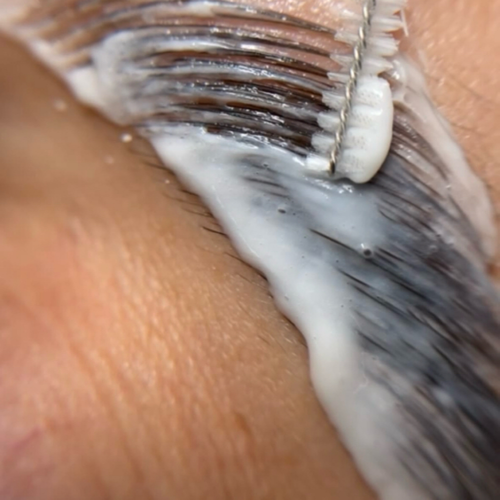 Brow Tint at Morgan Lee in Goldsboro, NC