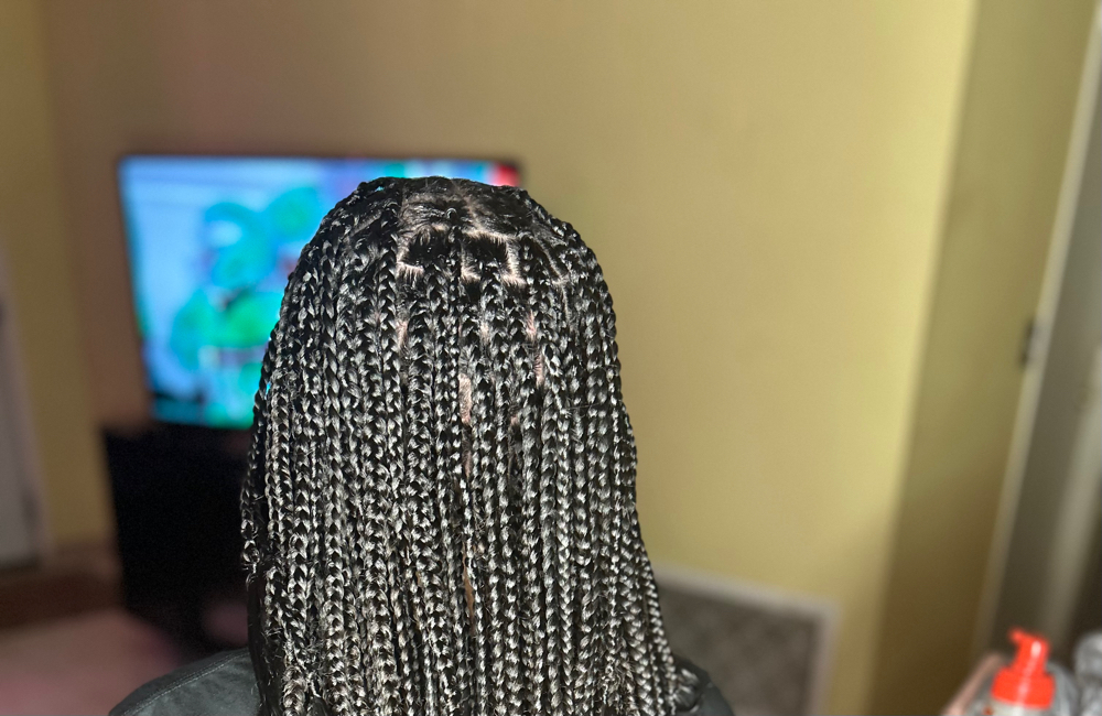 Box Braids (Small)