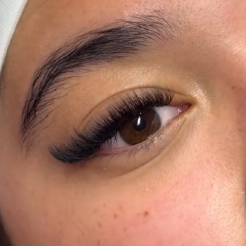 Light Volume at Lashngems in Anaheim, CA