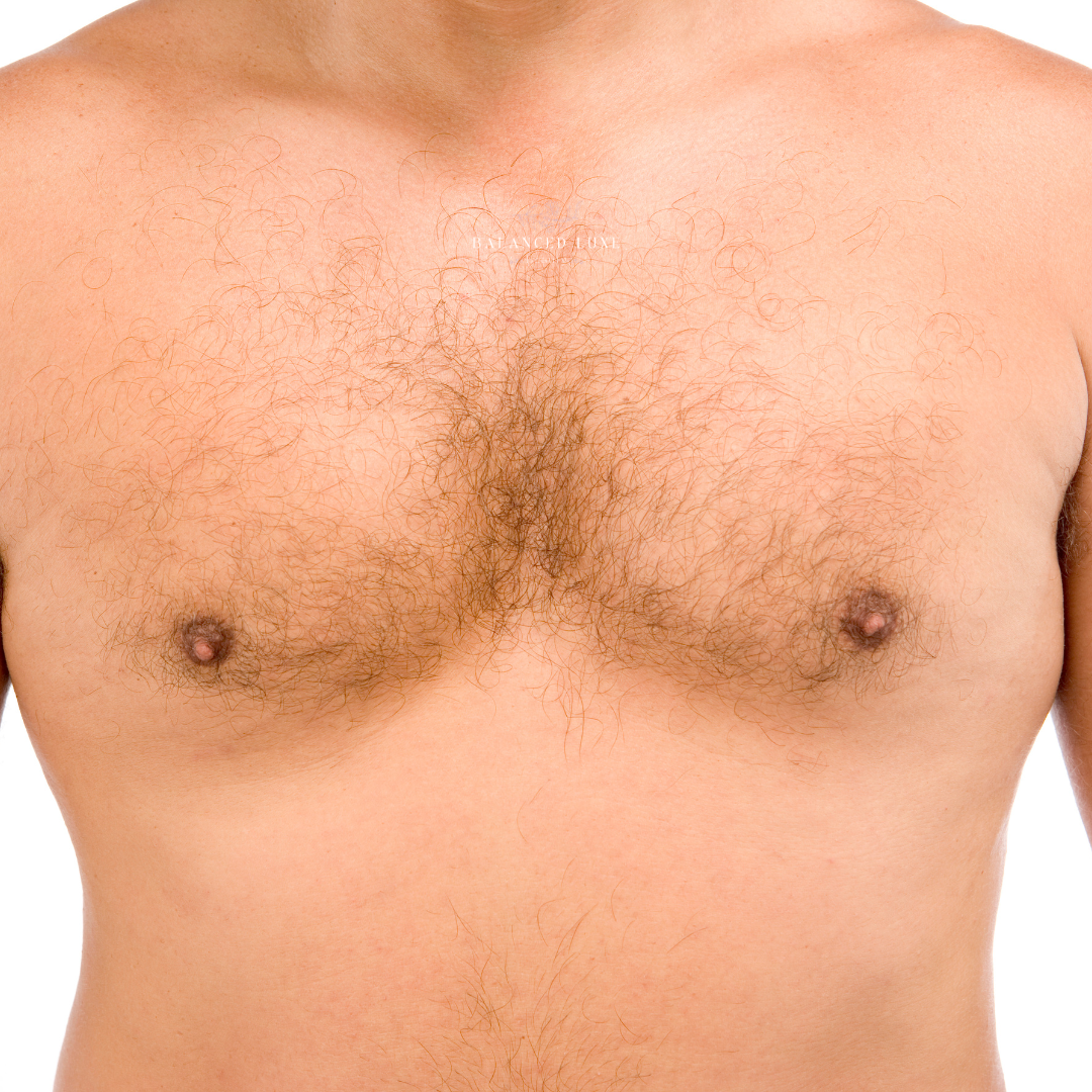Chest / Pecho