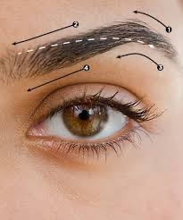 Level 1 Brow Wax Design/ ReShaping