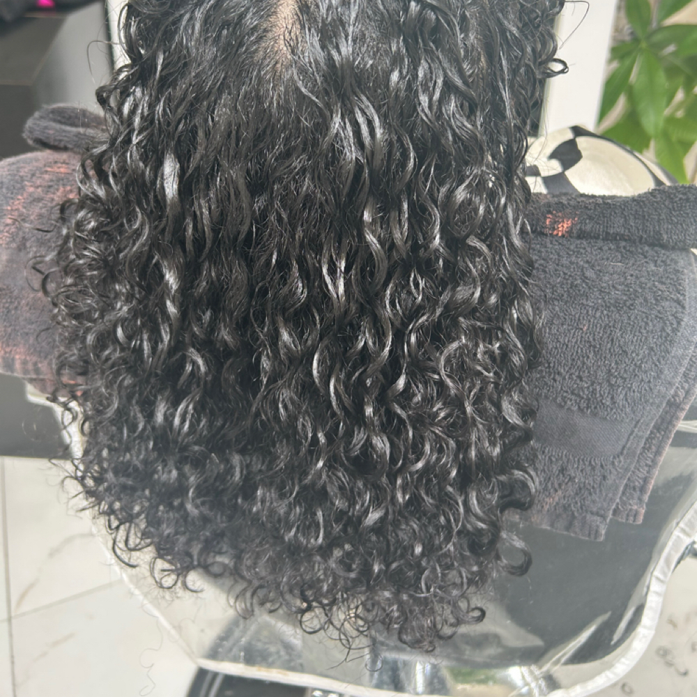 Curly Haircut & Style at Sweet Dreams Spa in Bronx, NY