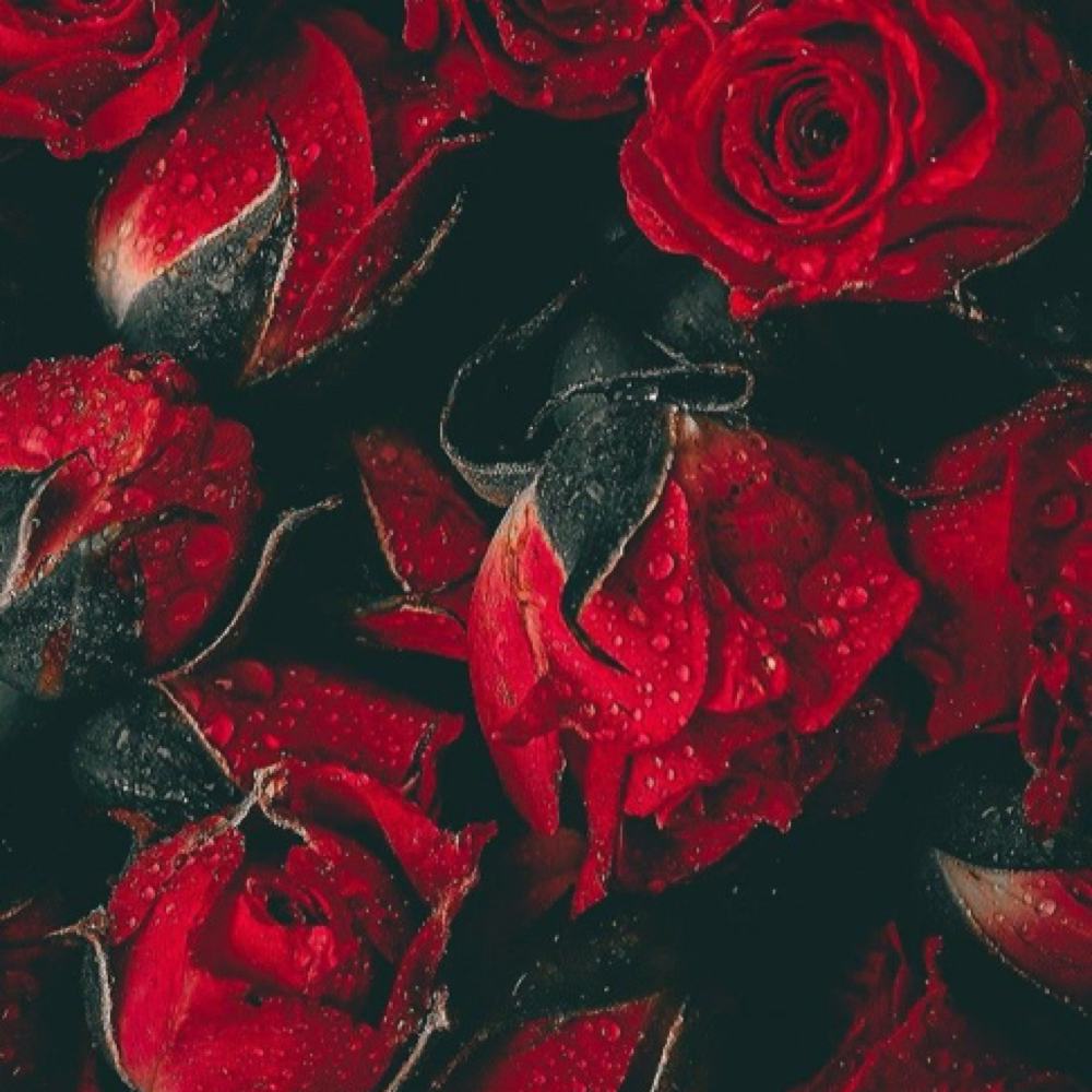 Touch Up 3 Months Or Longer at Inked by J in Dallas, TX