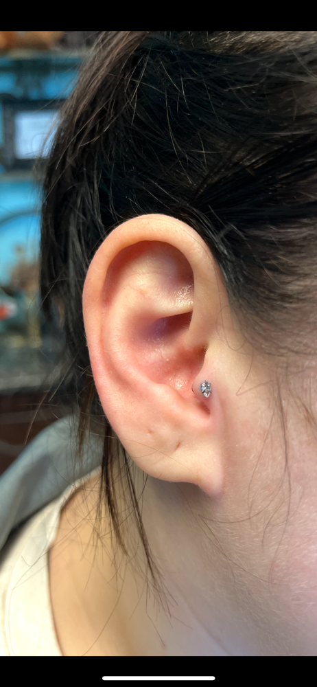 Tragus Piercing at Sydney at Madame Voodoo’s in Warrenton, MO