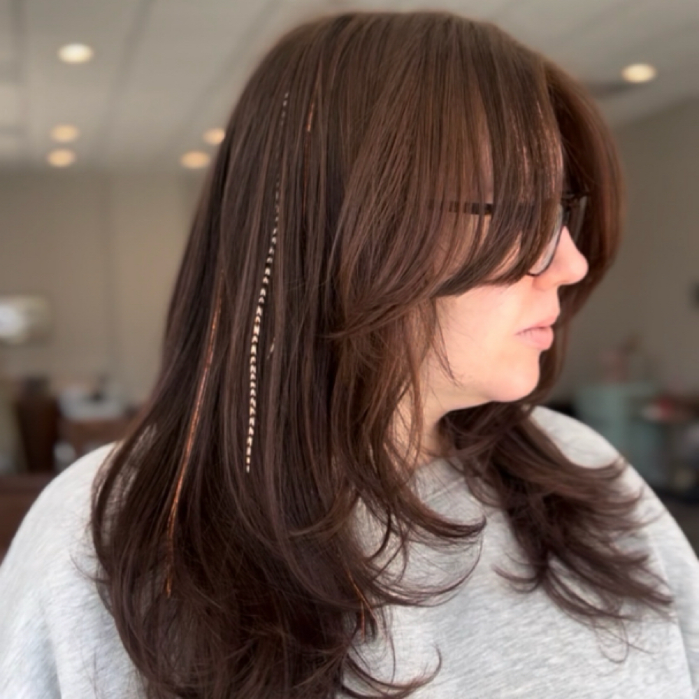 Tinsel Extensions at Le posh salon in Merrimac, MA