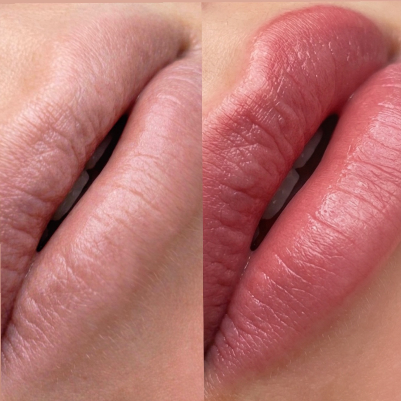 Lip Blush at Beauty and Brows by Steff in Kennesaw, GA