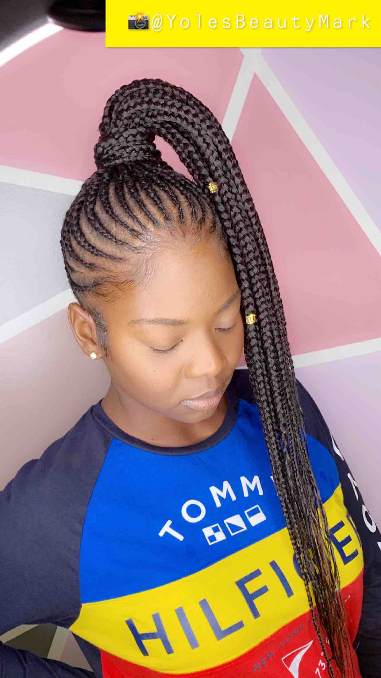 Small Braid Ponytail