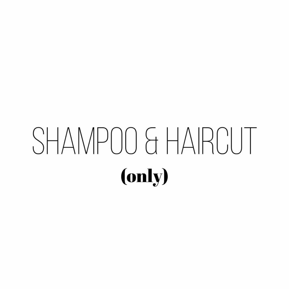 Shampoo/Haircut (only)