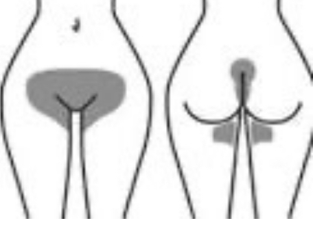 Brazilian Wax at Hae Beauty in Cross Lanes, WV