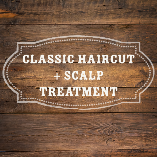 Haircut + Scalp Treatment