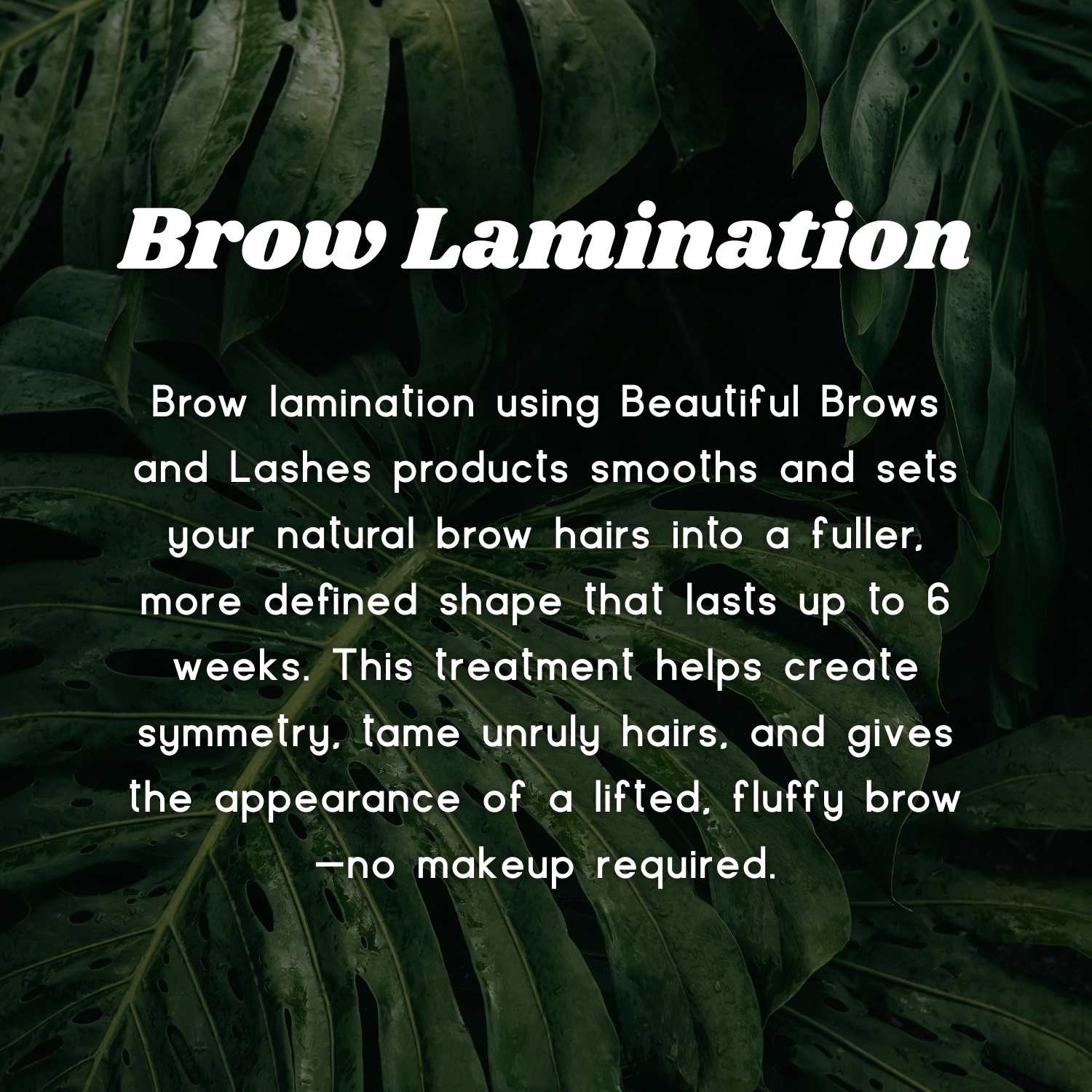 Brow Lamination