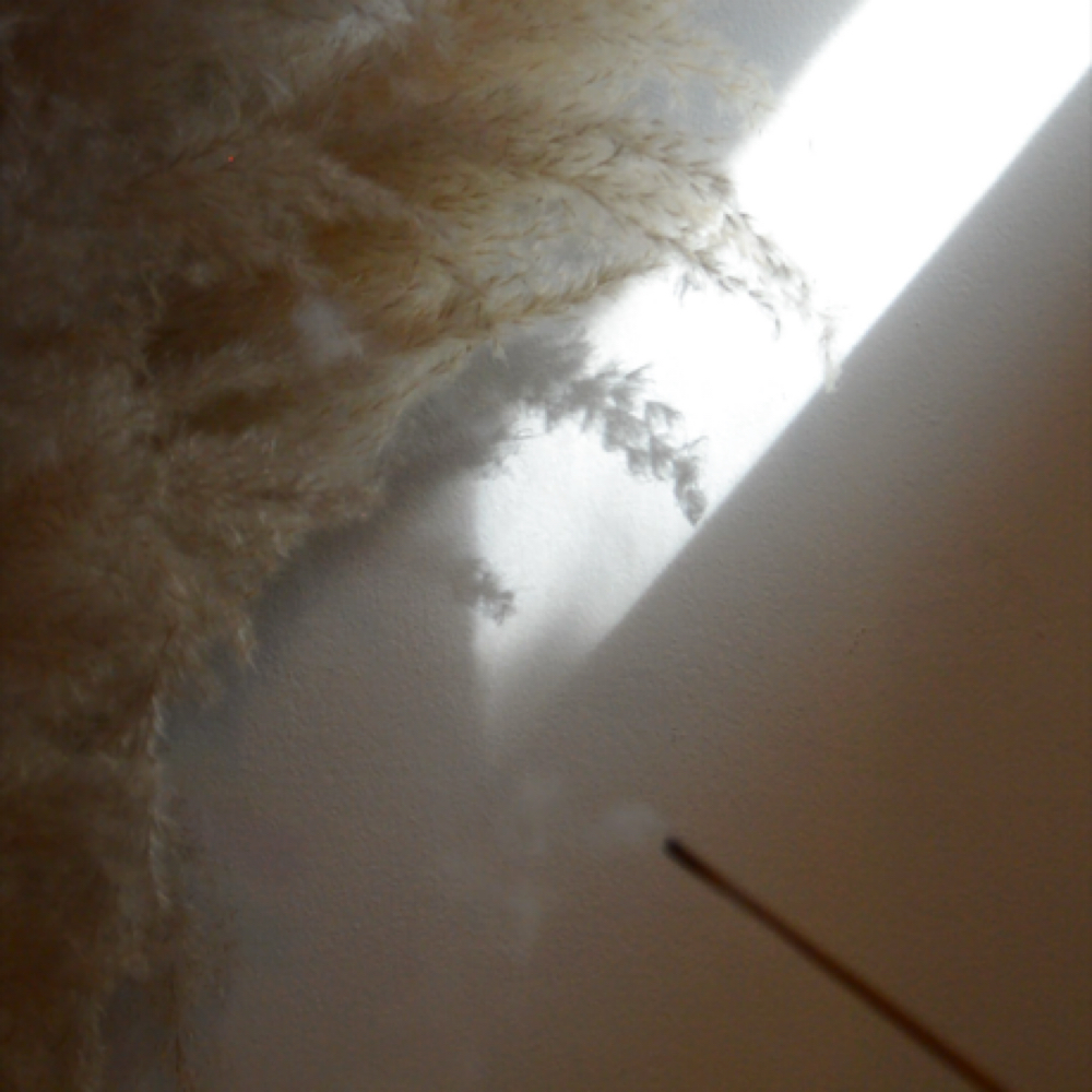 The Energy Reset at The Altar House Salon in Boise, ID