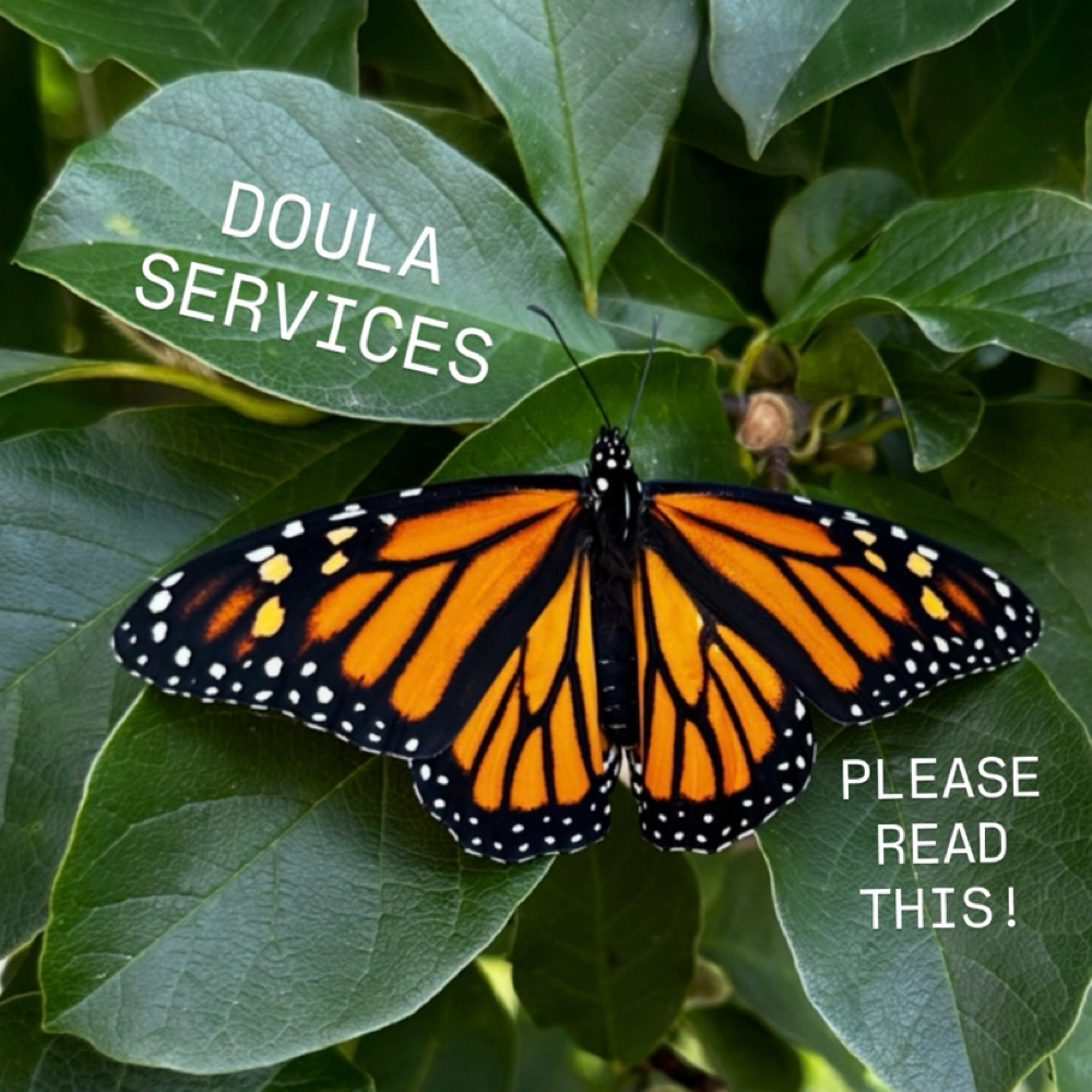 Doula Services Temporarily Paused at Kirsten Snow, Licensed Massage Therapist & Doula in Southwest Harbor, ME