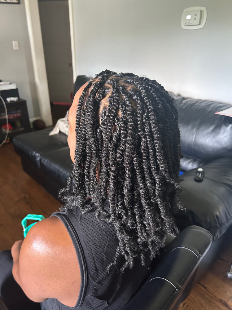 spring Twists
