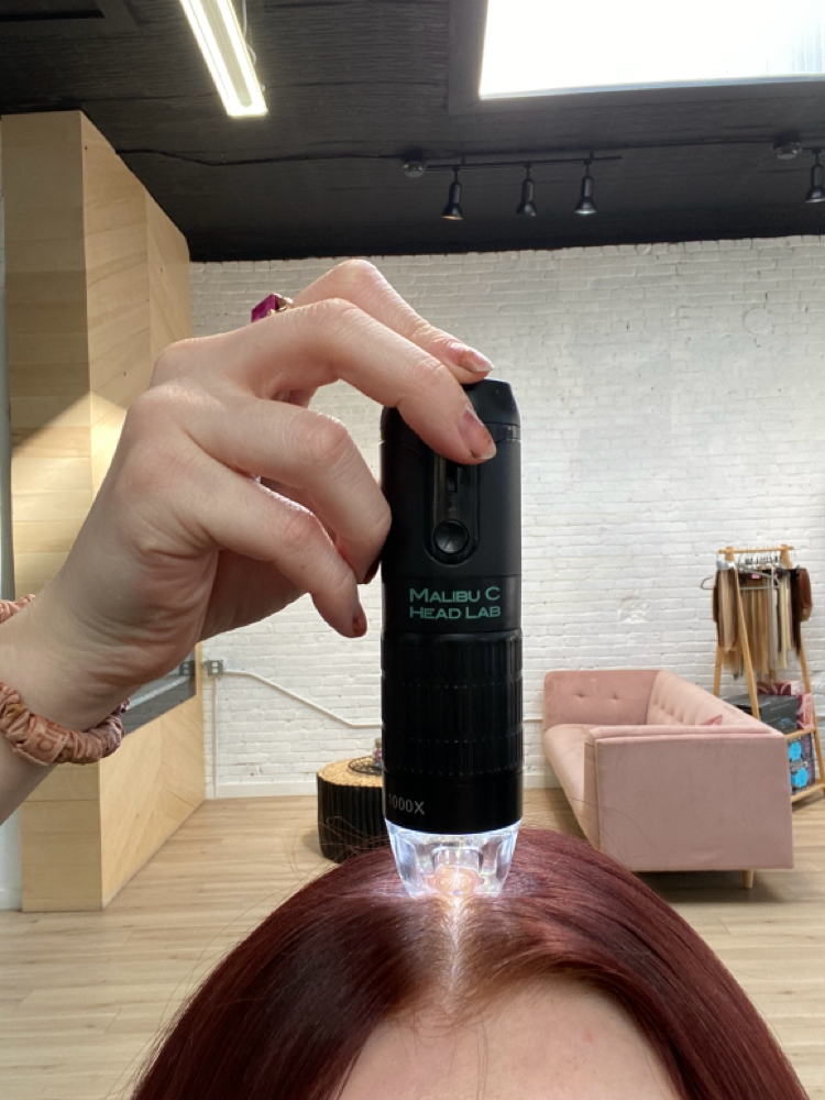 New! Malibu C Scalp Labs