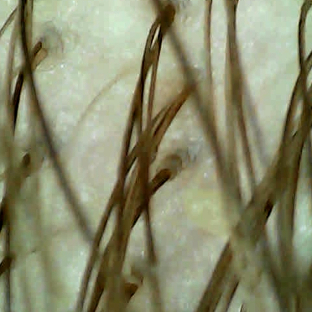 Healthy Hair Detox at Ami Steele in Grand Island, NE