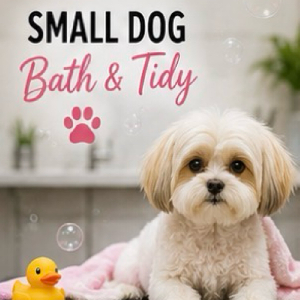 Small Dog Bath & Tidy at Pampered Pups By Helen in Chino Hills, CA