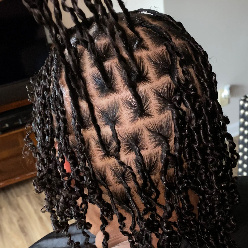 Starter Locs