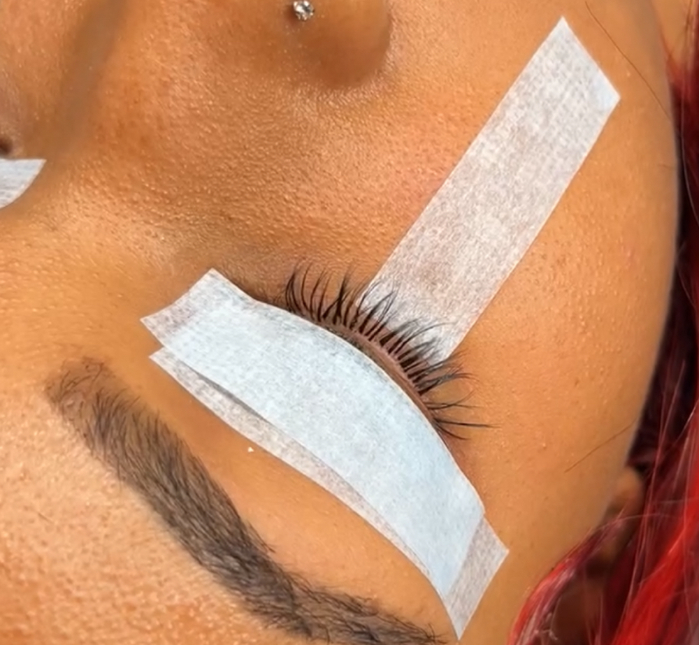 Bottom Lashes