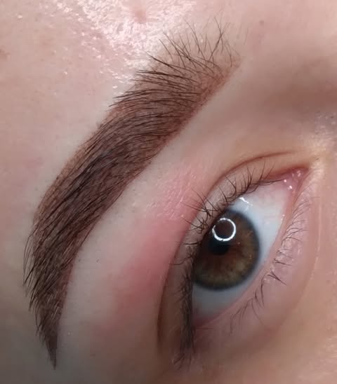 Powder Brows: New Client