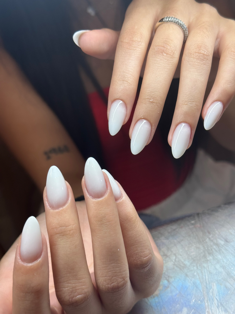 Basic Fullset (Solid Colors)