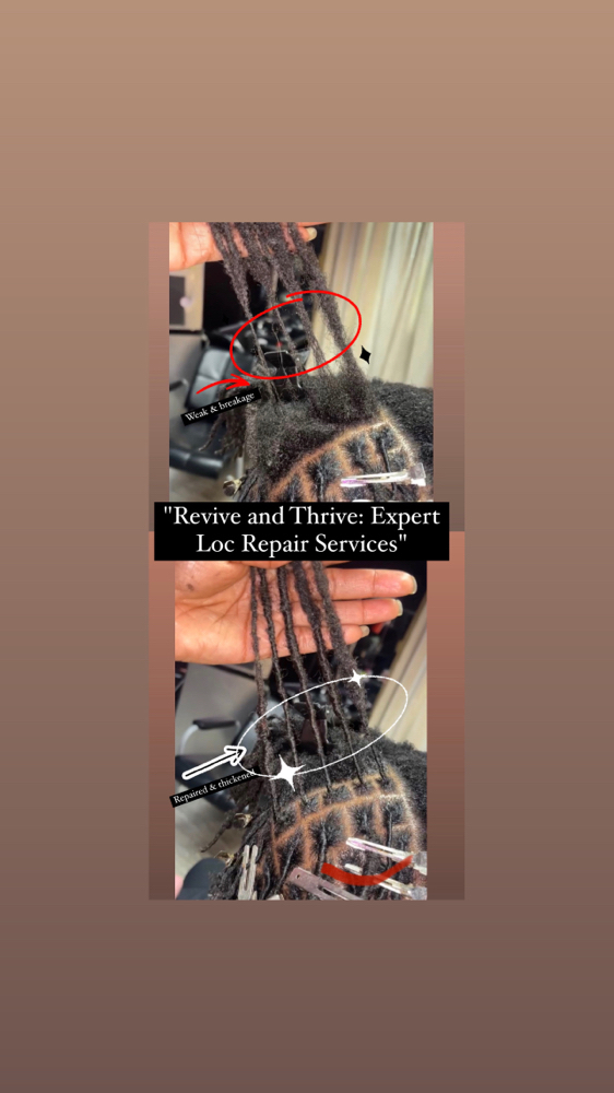 Revive &Thrive: Expert Loc Repair