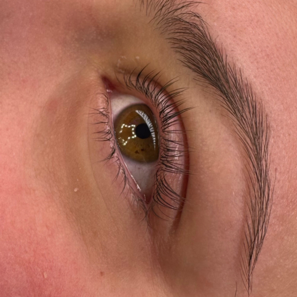 Keratin Lash Lift w/ No Tint at Ethereal Esthetics in Depew, NY