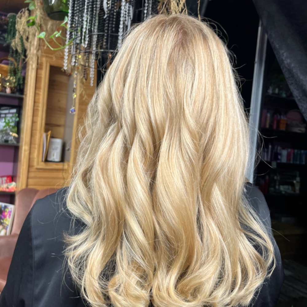 Partial Highlight at Haley A Beauty @ The Wildflower Hair Co. in Moulton, AL